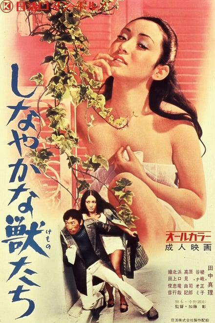 感官野兽}
