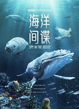 海洋间谍}