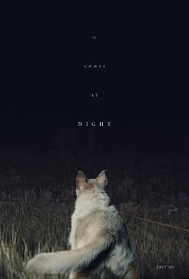黑夜造访}