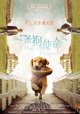 一条狗的使命}