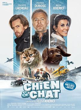猫狗大乱斗}