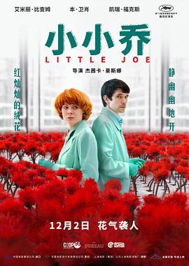 小小乔}